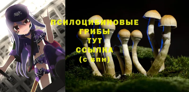 Псилоцибиновые грибы MAGIC MUSHROOMS  Белёв 